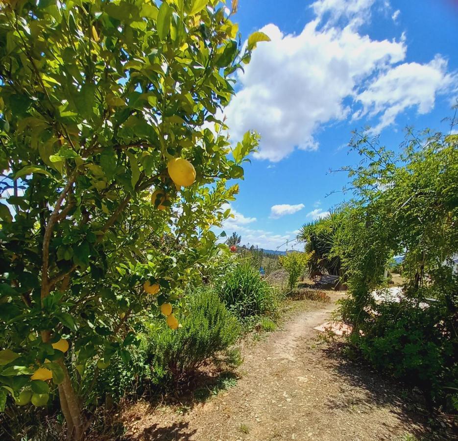 Vale De Garcia Al 5357 Villa Colos  Екстериор снимка